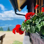 Tatil Evi Goetzfried-almhuette - Alleinlage Mit Panoramablick Am Millstaetter Spittal an der Drau
