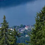 Goetzfried-almhuette - Alleinlage Mit Panoramablick Am Millstaetter Tatil Evi