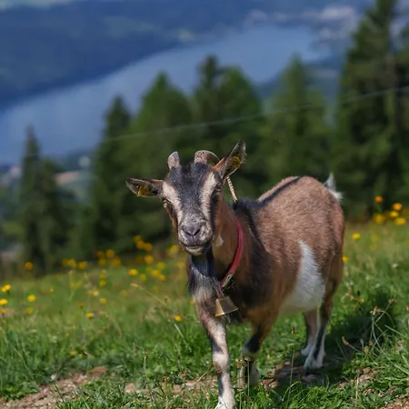 Goetzfried-almhuette - Alleinlage Mit Panoramablick Am Millstaetter *