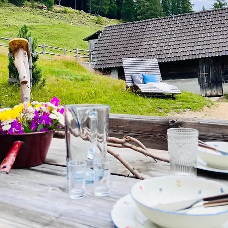 Goetzfried-almhuette - Alleinlage Mit Panoramablick Am Millstaetter Dom wakacyjny *