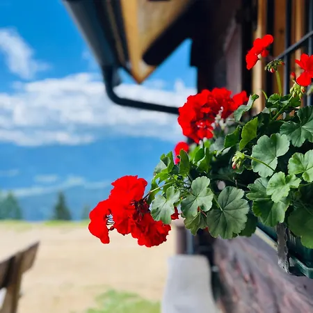 Ferienhaus Götzfried-almhütte - Alleinlage Mit Panoramablick Am Millstätter Spittal an der Drau