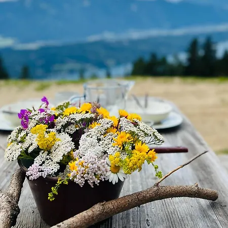 Ferienhaus Götzfried-almhütte - Alleinlage Mit Panoramablick Am Millstätter