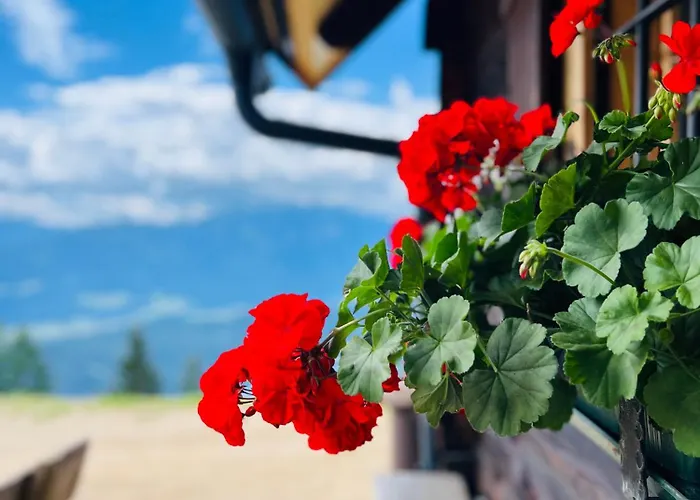 Dom wakacyjny Goetzfried-almhuette - Alleinlage Mit Panoramablick Am Millstaetter Spittal an der Drau