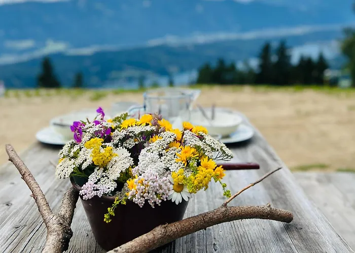 Ferienhaus Götzfried-almhütte - Alleinlage Mit Panoramablick Am Millstätter